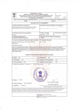 Hennahub India Phyto Certificate